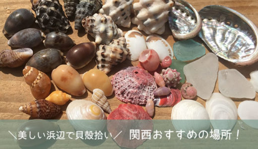 【美しい浜辺で貝殻拾い】関西おすすめの場所！
