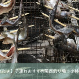 小柿渓谷放流釣り場